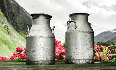Milchkannen mit Alpenrosen