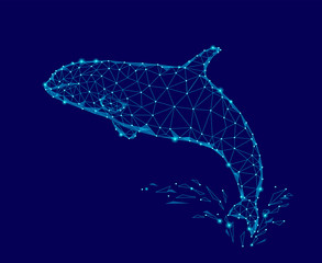 Killer whale 3d polygonal triangle model. Underwater sea wild danger monster. Glowing blue connected dots wire mesh logo water splash vector illustration