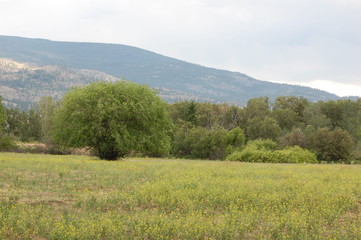 Fototapeta premium outdoors
