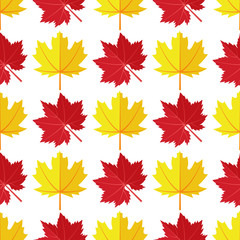 Vector seamless pattern with various colorful autumn leaves on a white background.