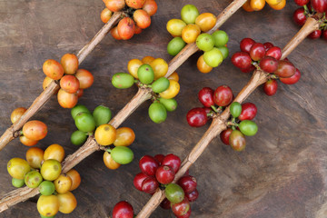 Close up coffee beans on wood texture