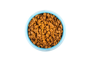 pet dried food in cyan plastic bowl