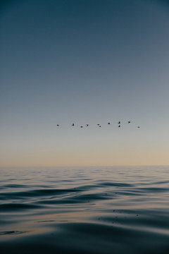 OCEAN SUNSET WITH BIRDS