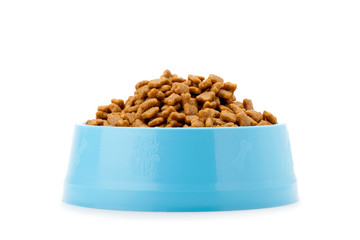pet dried food in cyan plastic bowl