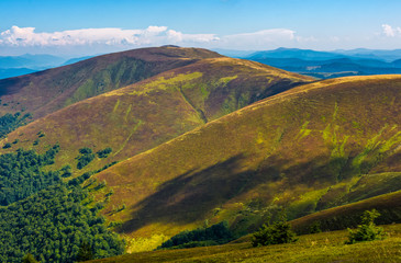 grassy slopes of Carpathian mountain ridge