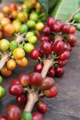 Close up red coffee beans on wood texture