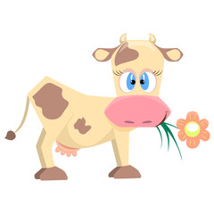 Amusing cow