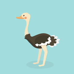 Cute Ostrich in flat style isolated.