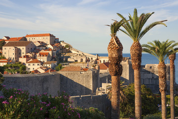 Old town landscape in Dubrovnik in summer