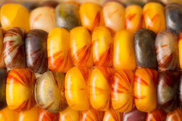 Macro Close Up of Indian Corn