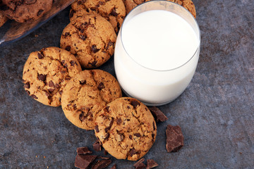 Chocolate cookies on white background. Chocolate chip cookies shot
