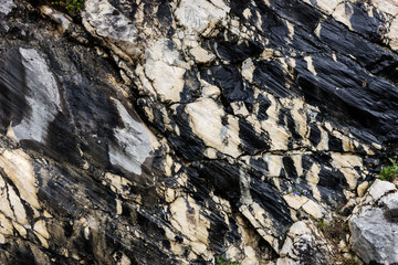 Black and white rocky structure
