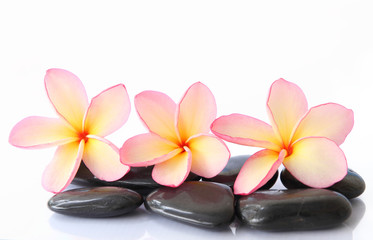 Fototapeta na wymiar zen stones with frangipani