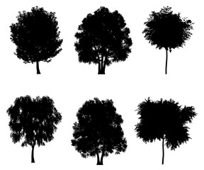 Tree silhouettes set for architectural compositions with backgrounds. Vector illustration
