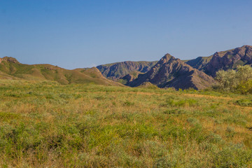 Fototapeta na wymiar Steppe landscape in the spring near the Ili River, Kazakhstan