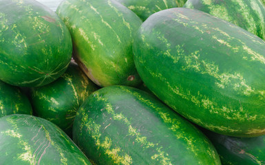 Huge delicious, sweet watermelons in the market.