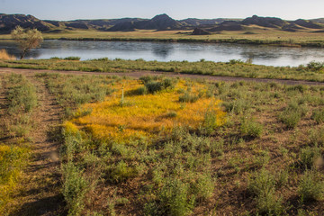 Fototapeta na wymiar Ili river, Kazakhstan. Steppe landscape in spring