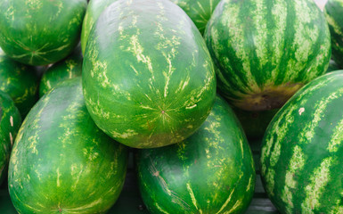 Huge delicious, sweet watermelons in the market.