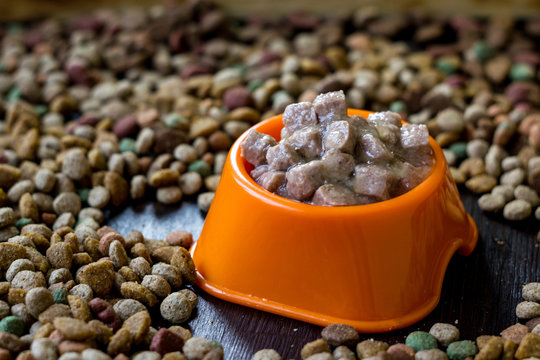 Wet canned pet food in a bowl surrounded by dry food.