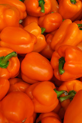 Fresh orange peppers poured into a box on the market.