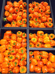 Orange peppers lying in a boxes in the supermarket