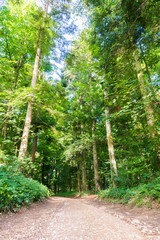 Der Weg zur Entscheidung in Gedanken