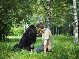 The owner communicates with his dog. A large black Newfoundland. Forest, trees, birch, grass, summer