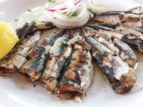 Sardines On Plate