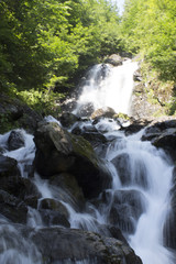 Beautiful Wallpaper of waterfall, stream fast milk flow. Abkhazia rocky mountain river in the forest. Waterfall dairy