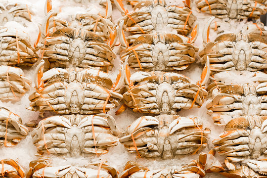Fresh Crabs at a Market