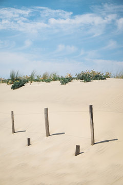 Fencing buried in a sand dune