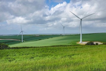 Wind farm located on an open field to generate power from renewable source