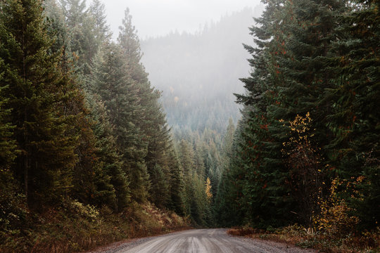 Mountain Roads in Autumn
