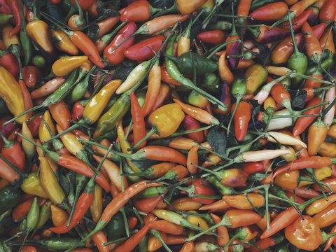 Organic peppers for sale of farmers market