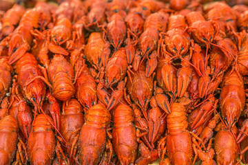 Fresh red boiled crawfish. Cooked crayfish with dill. Beer snack. Crayfish to beer.