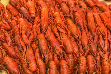 Fresh red boiled crawfish. Cooked crayfish with dill. Beer snack. Crayfish to beer.