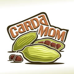 Vector logo for Cardamom: green pods with brown seeds of cardamon, label with title text - cardamom on white, ingredient for indian drink masala tea, elaichi or elettaria cardamomum for essential oil.