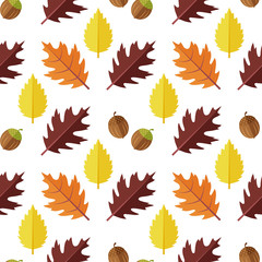 Vector seamless pattern with various colorful autumn leaves on a white background.