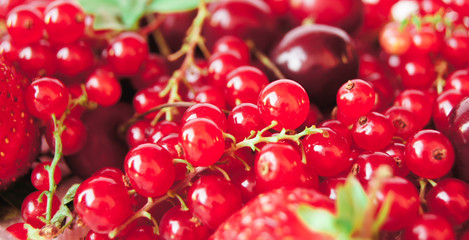 red fruits