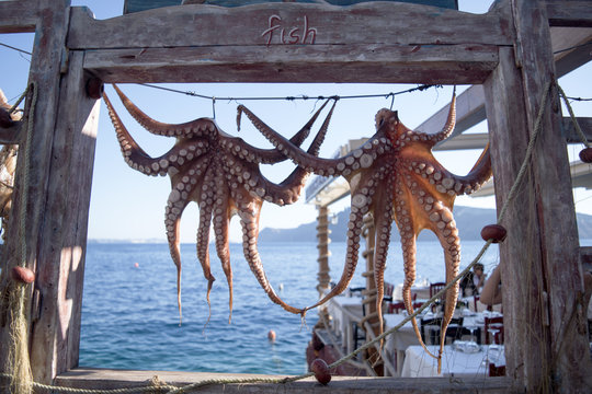 Octopus Hanging Outside Seafood Restaurant