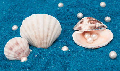 pearls and shells