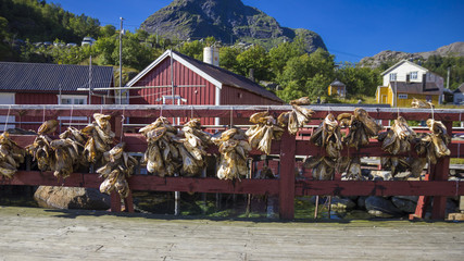 Stockfisch