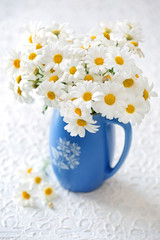 Delicate daisy flowers in a blue ceramic vase . 