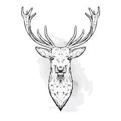 A beautiful deer. Vector illustration for a postcard or a poster, print for clothes. Fashion & Style. © juliagrin