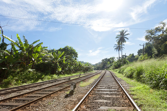 Railroad through Sri Lanka, Asia
