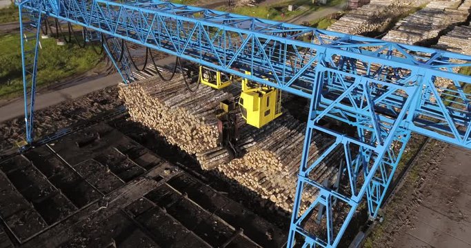 A huge ground for logging