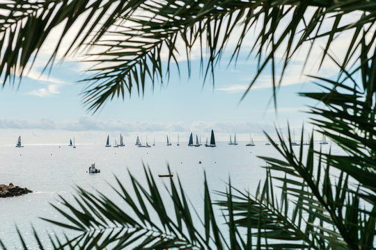 The Sailing yachts near the coast of Monaco