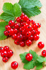 Pattern background from Fresh juicy berries red currant in a rustic rural style. The concept of gardening and crop of diet and vegetarianism