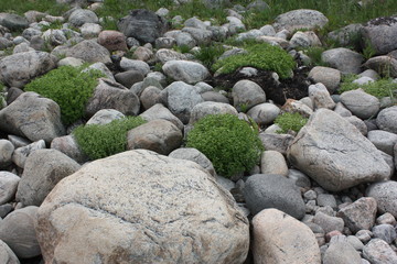 Красивые прибрежные камни и растительность.