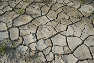 The earth is thirsty